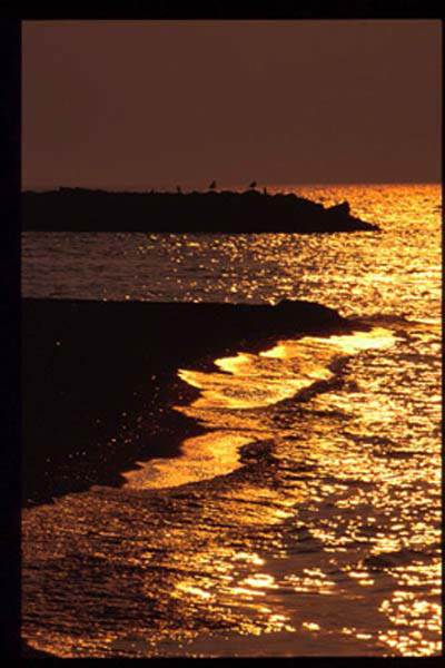 Location Image 2