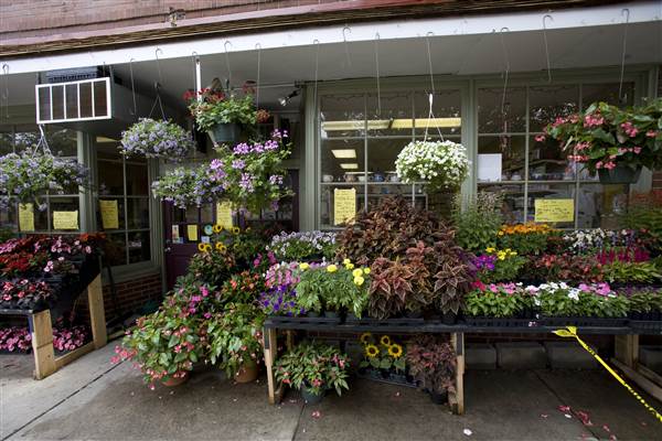 Location Image 3