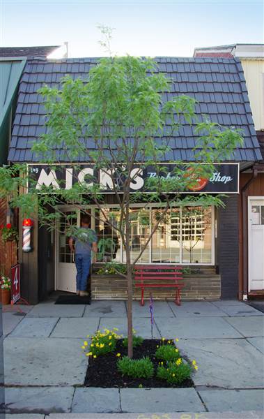 Mick's Barbershop