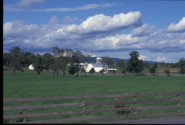 Location Image 3