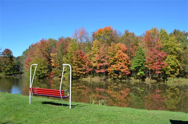 Location Image 2