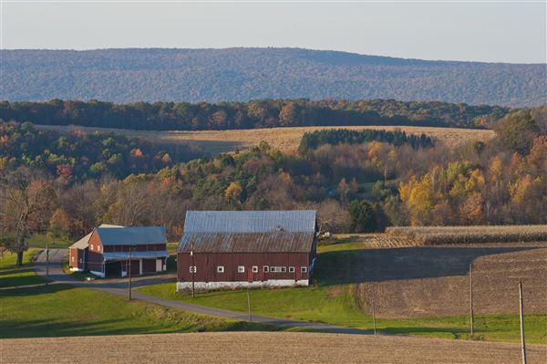 LUZERNE COUNTY