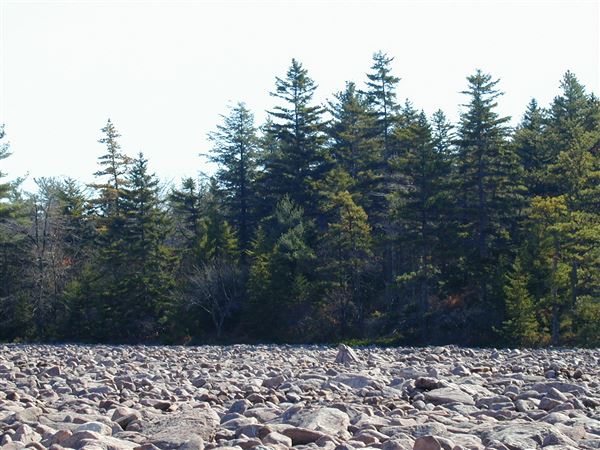 Location Image 4