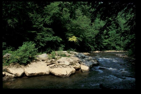 Location Image 2