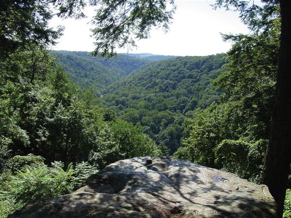 CLELAND ROCK OVERLOOK, McCONNELLS MILL STATE PARK
