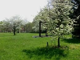 Location Image 4