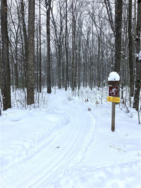 Allegheny National Forest - Winter Scenes