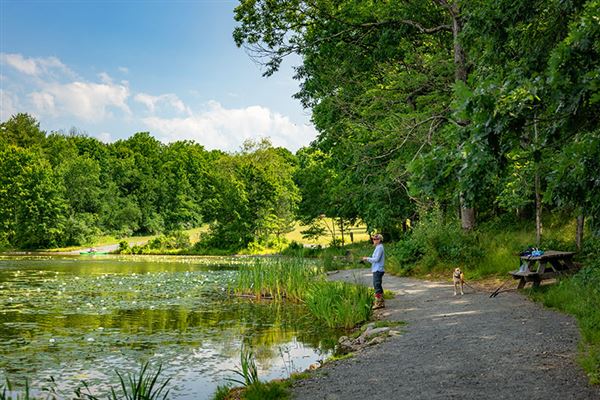 Nescopeck State Park, Luzerne County