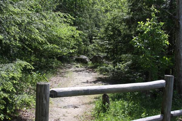 Location Image 3