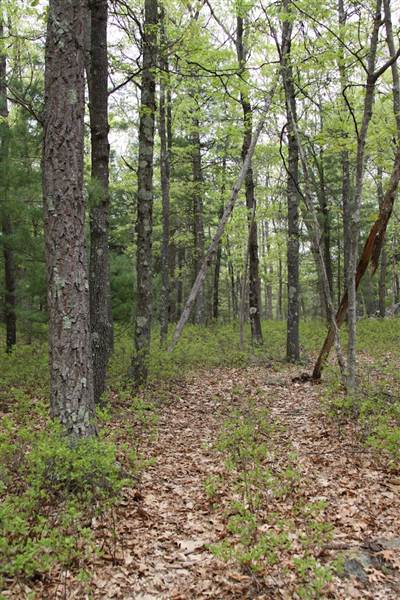 PIKE COUNTY GAME LANDS