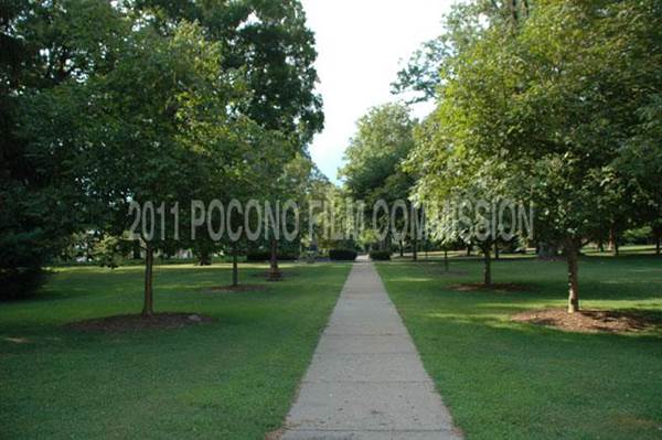 Location Image 3