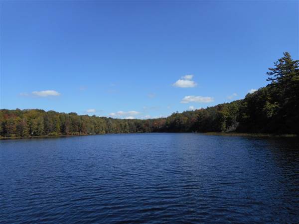 Location Image 4