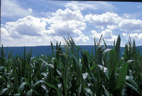 JUNIATA COUNTY COUNTRYSIDE