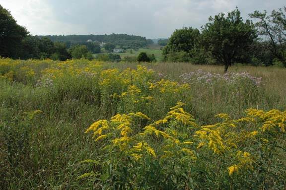 SUGAR HOLLOW CREEK FARM LANDSCAPE VIEWS