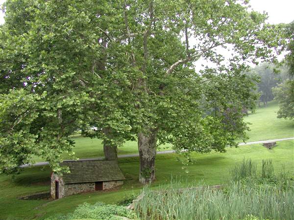 BRANDYWINE BATTLEFIELD, CHADDS FORD