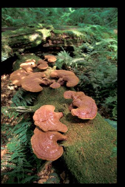 Location Image 5
