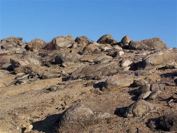 PALMERTON''S STONEY RIDGE