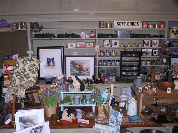 Location Image 5