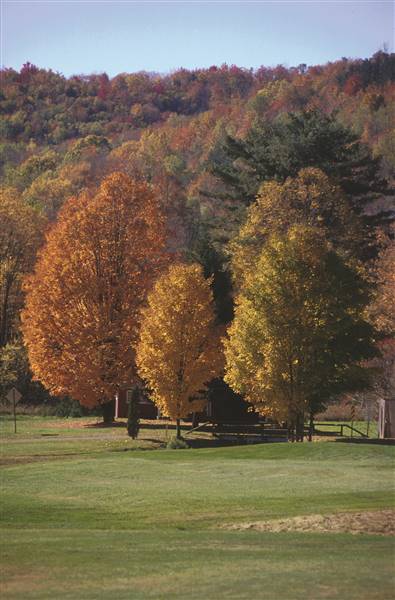 Location Image 5