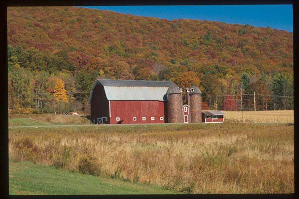 POTTER COUNTY SCENERY