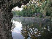 MEAD PARK & ALICE LAKE, CORRY