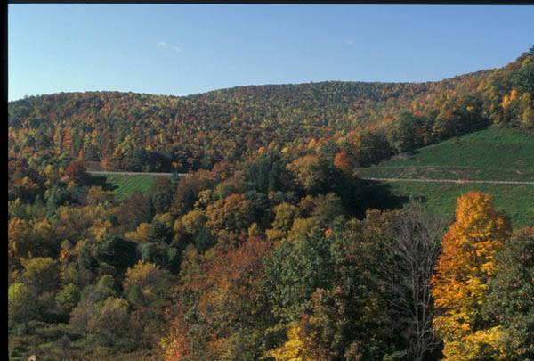 Location Image 4