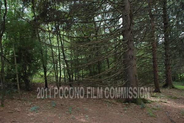Location Image 5