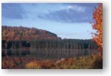 HILLS CREEK STATE PARK