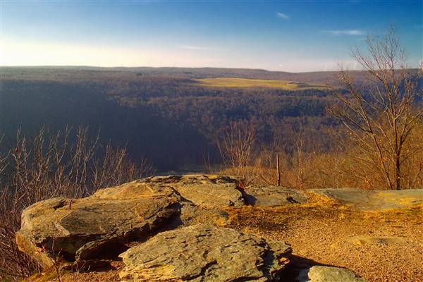 LOYALSOCK STATE FOREST