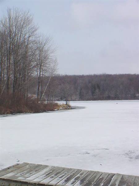 Location Image 3