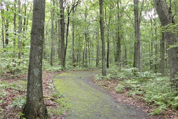 Archbald Regional Park