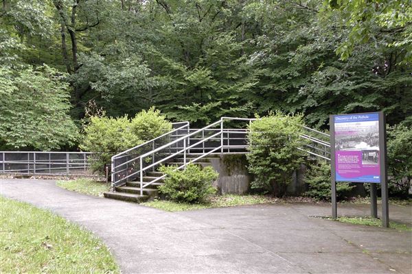 Location Image 5