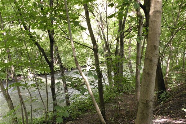 Location Image 3