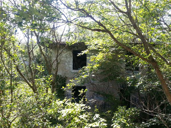 Location Image 3