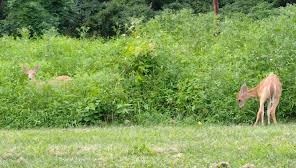 Location Image 4