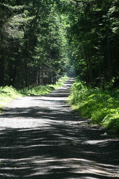 WEISER STATE FOREST