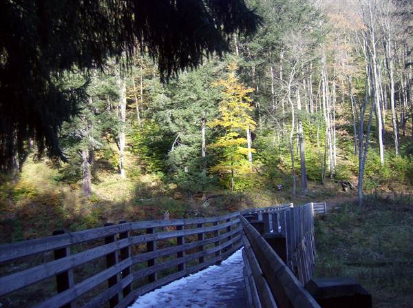 Location Image 3