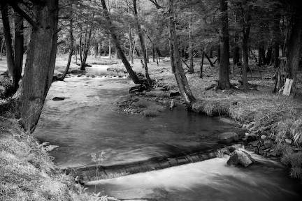 Location Image 3