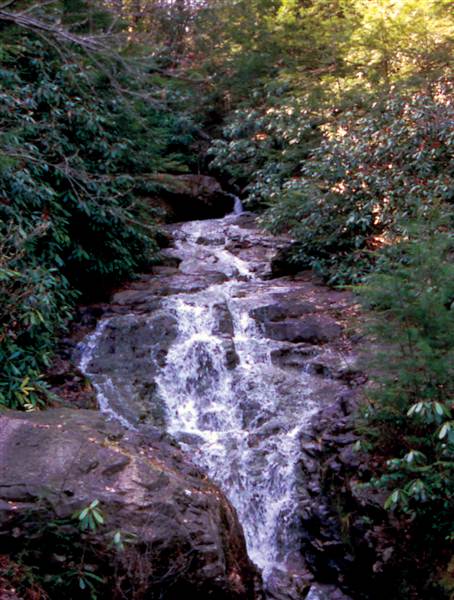 Lehigh Gorge State Park, Carbon County