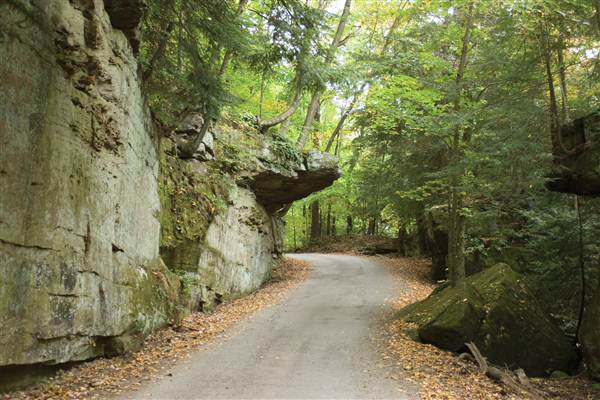 Location Image 4