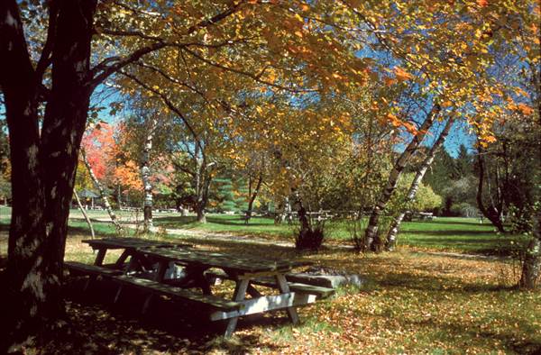 Location Image 4