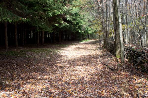 Location Image 5