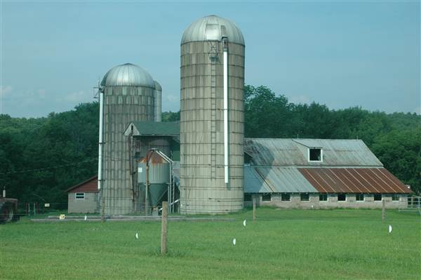 Wayne County Farm