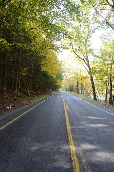 Location Image 2