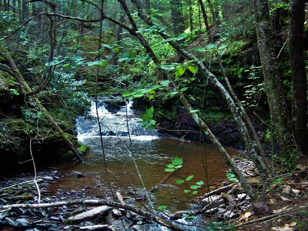 Location Image 2