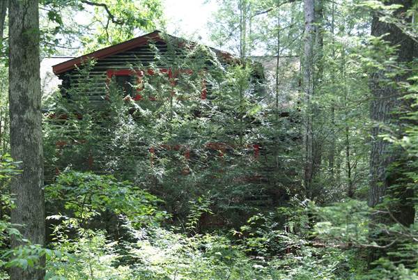 Location Image 4