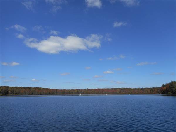 Location Image 3