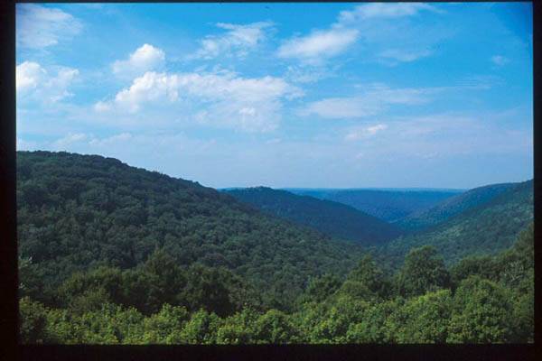 Location Image 2