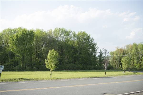Location Image 2