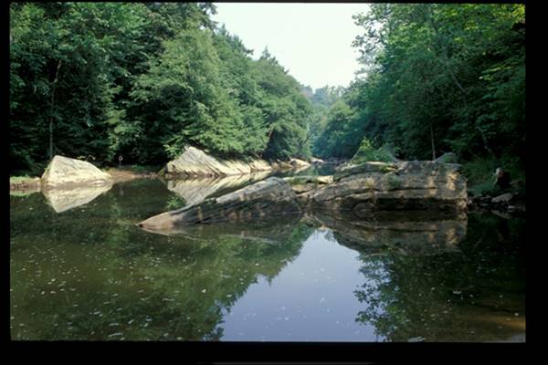 Location Image 4